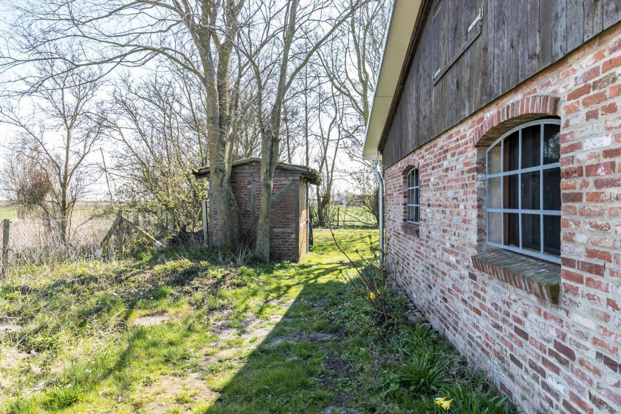 Deichgraf 1 Apartment Friedrichskoog Exterior photo